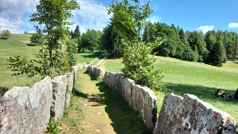 A Tonezza del Cimone, da non perdere il Sentiero Excalibur